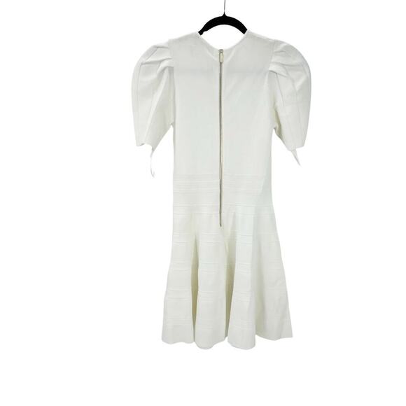 Ted Baker Short Puffed Sleeve Engineered Skirt Dress Crewneck Size 1/ XS NWT - Picture 7 of 14